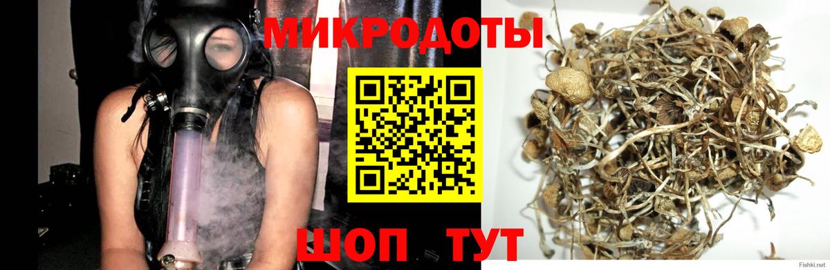 Галлюциногенные грибы мицелий  Вход с VPN  Тамбов  Галлюциногенные грибы ЛСД 