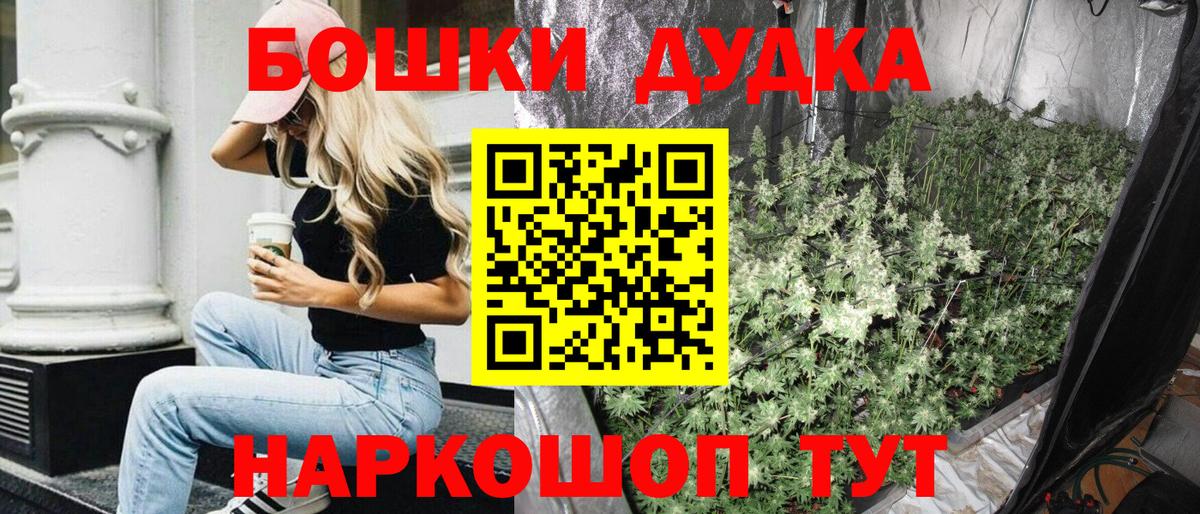 Марихуана семена  Вход с VPN  Бошки Шишки план  Тамбов  Канабис Bruce Banner  Бошки Шишки White Widow 